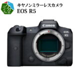 【ふるさと納税】キヤノンミラーレスカメラ　EOS R5 家電 写真 canon 正規品 35mm フルサイズ 約4500万画素 CMOSセンサー搭載 高画質 高感度 ミラーレス R14038【大分県大分市】