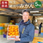 【ふるさと納税】【予約】産地直送！ 宇佐産 蔵出しみかん5kg 晩生 青島 熟成 ご家庭用 ミカン 蜜柑 果物 フルーツ 井上農園 数量限定 期間限定 1月下旬順次発送開始 送料無料