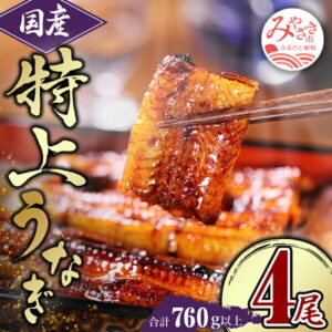 【ふるさと納税】総合ランキング1位 獲得 鰻 たれ 九州産 うなぎ 蒲焼 4尾 (計760g以上＆さんしょう、たれ付き) うなぎの蒲焼き 特上 特上うなぎ 蒲焼長焼 化粧箱入り 化粧箱 贈答 贈り物 プレゼント ご褒美 惣菜 丑の日 人気 冬うなぎ おすすめ うなぎ蒲焼き 長焼き 国産