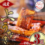 【ふるさと納税】国産うなぎ蒲焼3尾(計480g) 鰻蒲焼 ウナギ蒲焼用たれ さんしょうのセット(うなぎ1尾160g以上の鰻3尾からなるウナギの詰め合わせ)