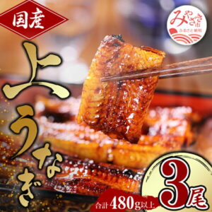 【ふるさと納税】国産うなぎ蒲焼3尾(計480g) 鰻蒲焼 ウナギ蒲焼用たれ さんしょうのセット(うなぎ1尾160g以上の鰻3尾からなるウナギの詰め合わせ)
