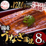 【ふるさと納税】＜2週間以内に鰻楽(宮崎)からお届け＞国産うなぎ 蒲焼8尾(計1,200g) 鰻蒲焼用たれとさんしょうのセット