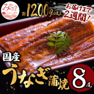 【ふるさと納税】<2週間以内に鰻楽(宮崎)からお届け>国産うなぎ 蒲焼8尾(計1,200g) 鰻蒲焼用たれとさんしょうのセット