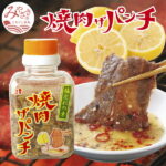 【ふるさと納税】焼肉ザパンチ（1個80g）