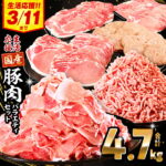 【ふるさと納税】【発送時期が選べる】大満足 豚肉 ロース バラエティ セット 4.7kg 総合ランキング1位 ロース 豚ロース 切り落とし ミンチ 豚ミンチ しゃぶしゃぶ 生姜焼き 肉 豚 お肉 国産 人気 スライス ハンバーグ 訳あり 小分け パック 数量限定 宮崎県 宮崎市 送料無料