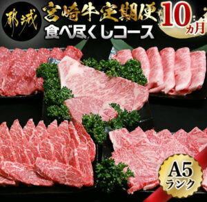 【ふるさと納税】迷ったらコレ！極上宮崎牛食べ尽くしコース定期便(10ヵ月) – 牛肉 バラ/赤身/サーロインステーキ/ヒレステーキ/ロース/焼き肉/しゃぶしゃぶ/すき焼き/スライス/切り落とし 送料無料 T120-0101【宮崎県都城市は令和2年度ふるさと納税日本一！】