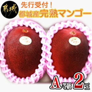 【ふるさと納税】【先行受付!】都城産完熟マンゴー(A等級 2玉) – 先行受付 大人気の宮崎マンゴー 2Lサイズ〜3Lサイズ 2玉セット 宮崎県産(都城産)で産地直送 冷蔵 送料無料 AC-0101【宮崎県都城市は令和2年度ふるさと納税日本一!】