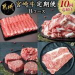 【ふるさと納税】宮崎牛定期便(10回お届け) Bコース 送料無料 T80-2501 【宮崎県都城市は令和2年度ふるさと納税日本一！】