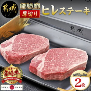 【ふるさと納税】【お届け月が選べる】都城産宮崎牛【厚切り】ヒレステーキ2枚 – 宮崎牛 ヒレ 170g以上×2枚 ソース2個付き 希少部位 厚切り ステーキ 赤身 牛肉 送料無料 AD-6501 【宮崎県都城市は令和2年度ふるさと納税日本一！】