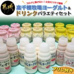 【ふるさと納税】【コロナに負けない！元気モリモリ福袋】高千穂牧場ヨーグルト＆ドリンクバラエティセット(プリン付き)（クラウドファンディング対象） – 乳製品セット 送料無料 MJ-1609【宮崎県都城市は令和2年度ふるさと納税日本一！】