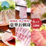 【ふるさと納税】F006　【お楽しみ定期便】延岡産活〆鮮魚の豪華お刺身（6ヶ月定期便）チルド冷蔵 旬 国産 ヒラメ　真鯛　カンパチ　シマアジ　ブリ　姿造り　宮崎県延岡市 送料無料