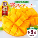 【ふるさと納税】リピーター続出!!≪玉数が選べる≫数量限定 宮崎県産 完熟 マンゴー 2L以上 2玉 4玉 9玉 フルーツ 果物 果汁 希少 濃厚 ジューシー 贅沢 ご褒美 お祝い 人気 国産 食品 おやつ デザート 産地直送 おすすめ 贈り物 贈答 ギフト プレゼント 日南市 送料無料