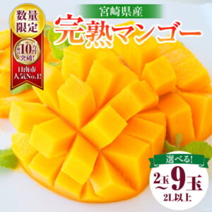 【ふるさと納税】リピーター続出!!≪玉数が選べる≫数量限定 宮崎県産 完熟 マンゴー 2L以上 2玉 4玉 9玉 フルーツ 果物 果汁 希少 濃厚 ジューシー 贅沢 ご褒美 お祝い 人気 国産 食品 おやつ デザート 産地直送 おすすめ 贈り物 贈答 ギフト プレゼント 日南市 送料無料