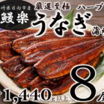 【ふるさと納税】宮崎県日向市産・鰻楽ハーブうなぎ蒲焼8尾（計1440g）[50-03]