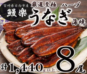 【ふるさと納税】宮崎県日向市産・鰻楽ハーブうなぎ蒲焼8尾（計1440g）[50-03]