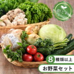【ふるさと納税】綾町 旬 新鮮 お試し 野菜 セット 詰め合わせ 採れたて 無農薬 減農薬 (Sサイズ) おまかせ 美味しい 直送