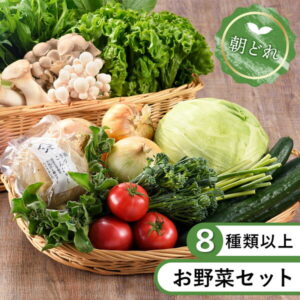 【ふるさと納税】綾町 旬 新鮮 お試し 野菜 セット 詰め合わせ 採れたて 無農薬 減農薬 (Sサイズ) おまかせ 美味しい 直送