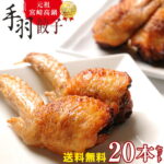 【ふるさと納税】餃子の馬渡＜馬渡の手羽餃子20本＞※入金確認後、2022年2月末迄に順次出荷します。 送料無料 お取り寄せ 手羽先餃子 国産100％ パーティー 月曜から夜ふかし 怒り新党 宮崎餃子 特産品 宮崎県 高鍋町【冷凍】