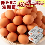 【ふるさと納税】＼レビューキャンペーン／配送開始月が選べる!!＜児湯養鶏自慢の卵＞ネッカリッチ赤たまご「児湯一番」 計480個 （20個入×2箱）×12か月定期便