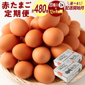 【ふるさと納税】\レビューキャンペーン/配送開始月が選べる!!<児湯養鶏自慢の卵>ネッカリッチ赤たまご「児湯一番」 計480個 (20個入×2箱)×12か月定期便