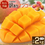 【ふるさと納税】＜先行予約＞宮崎県産 訳ありマンゴー 2kg