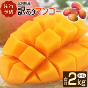【ふるさと納税】＜先行予約＞宮崎県産 訳ありマンゴー 2kg