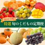 【ふるさと納税】南国宮崎 〈特選〉旬のくだもの定期便 12ヵ月コース