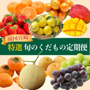 【ふるさと納税】南国宮崎 〈特選〉旬のくだもの定期便 12ヵ月コース