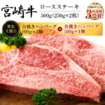 【ふるさと納税】数量限定《緊急支援品》宮崎牛ロースステーキ(250g×2枚)＆合挽きハンバーグ(100g×8個)セット《合計1.3kg》　肉　牛　牛肉