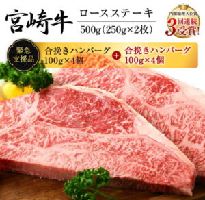 【ふるさと納税】数量限定《緊急支援品》宮崎牛ロースステーキ(250g×2枚)＆合挽きハンバーグ(100g×8個)セット《合計1.3kg》　肉　牛　牛肉