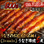 【ふるさと納税】期間・数量限定【緊急支援品】うなぎ蒲焼5尾(計800g以上)＆うなぎのおむすび2個(お楽しみセット)国産鰻(ウナギ・さんしょう・たれセット)