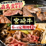 【ふるさと納税】【定期便・全6回(連続)】宮崎牛定期便＜Bセット＞【R-38】【ミヤチク】