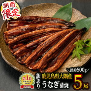 【ふるさと納税】【2025年5月31日までの期間限定】【訳あり】【数量限定】鹿児島県大隅産うなぎ蒲焼5尾(500g)たれ・山椒付き!うなぎ 鹿児島 本格 鰻 ウナギ 蒲焼 冷凍 湯煎 レンジ 解凍 簡単調理 鰻丼 鰻重 ひつまぶし 魚 土用の丑 小分け【大隅地区養まん漁業協同組合】