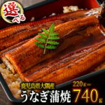 【ふるさと納税】【3月31日までの期間限定】総合ランキング 1位 獲得 鹿児島県 大隅産 うなぎ 蒲焼 2尾 or 3尾 or 4尾 or カット3枚 or 5枚 or 7枚(計320g or 計360g or 450g or 740g or 220g or 300g or 520g) 【大隅地区養まん漁業協同組合】