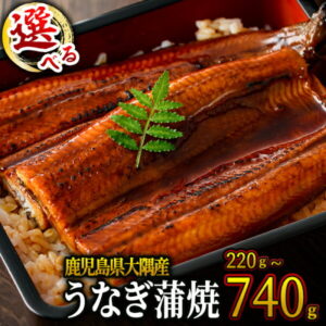 【ふるさと納税】【3月31日までの期間限定】総合ランキング 1位 獲得 鹿児島県 大隅産 うなぎ 蒲焼 2尾 or 3尾 or 4尾 or カット3枚 or 5枚 or 7枚(計320g or 計360g or 450g or 740g or 220g or 300g or 520g) 【大隅地区養まん漁業協同組合】