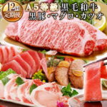 【ふるさと納税】II-0003 定期便(12ケ月)A5等級鹿児島産黒毛和牛・黒豚＆マグロ・カツオ