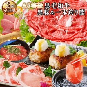 【ふるさと納税】 定期便DD-0005(3ケ月配送)黒毛和牛・黒豚・カツオ