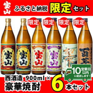 【ふるさと納税】ふるさと納税限定！人気の焼酎！薩摩宝山豪華セット(6銘柄・各900ml×1本 計6本) 一般小売りしていないプレミアムな焼酎も！【西酒造】