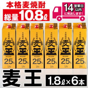 【ふるさと納税】≪鹿児島本格麦焼酎≫麦王パック(1.8L×6本・計10.8L)軽快な味わいと口いっぱいに広がる豊かな香りを楽しめる麦焼酎！【岩川醸造】