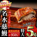 【ふるさと納税】【志布志の日】＜きざみ鰻付き！＞鹿児島県産 うなぎ蒲焼 名水慈鰻(特大5尾 計950g以上/1尾あたり190g以上) うなぎ 鰻 ウナギ 5尾 国産 九州産 蒲焼き かばやき 冷凍 うな重 ひつまぶし タレ 山椒 ランキング 人気【鹿児島鰻】c5-035-sbs