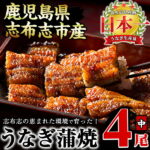 【ふるさと納税】鰻生産量日本一の鹿児島県産！うなぎの大楠＜中＞4尾セット計520g(130g×4)国産ウナギの蒲焼きを冷凍真空パック・たれ付きでお届け！【大楠鰻】b0-070