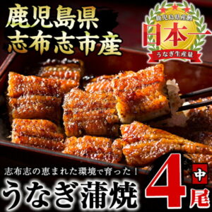 【ふるさと納税】鰻生産量日本一の鹿児島県産!うなぎの大楠<中>4尾セット計520g(130g×4)国産ウナギの蒲焼きを冷凍真空パック・たれ付きでお届け!【大楠鰻】b0-070