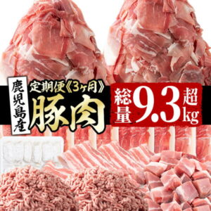 【ふるさと納税】【定期便・全3回】鹿児島県産豚肉定期便<3ヵ月連続・毎回2kg以上・合計9.3kg以上>使い勝手抜群の国産豚肉切り落としや餃子などを小分けパックでお届け【サンキョーミート】【カミチク】t004-002