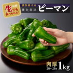 【ふるさと納税】【農家直送】生でも食べられる！ひまり農園のPーman（ピーマン） 1kg |鹿児島県 大崎町 鹿児島県産 野菜 やさい ベジタリアン 国産 ピーマン 特産品 名産品 ご当地 ご当地グルメ 緑黄色野菜 鹿児島 大崎 産地直送 ぴーまん 1キロ お取り寄せ お土産 緑黄色