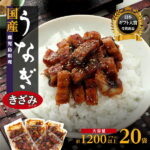 【ふるさと納税】ヒルナンデス！で紹介されました うなぎ きざみ 鰻 小分け 20袋 1200g | ふるさと納税 うなぎ 高級 ウナギ 鰻 丑の日 国産 蒲焼 蒲焼き たれ 鹿児島 大隅 大崎町 ふるさと 人気 送料無料