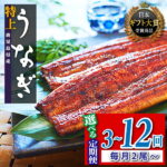 【ふるさと納税】【定期便】うなぎ 長蒲焼 鰻 2尾 4尾 3～12回 配送 定期 | ふるさと納税 うなぎ 高級 ウナギ 鰻 丑の日 国産 蒲焼 蒲焼き たれ うな丼 鰻丼 鹿児島 大隅 大崎町 ふるさと 人気 送料無料