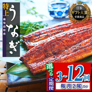 【ふるさと納税】【定期便】うなぎ 長蒲焼 鰻 2尾 4尾 3~12回 配送 定期 | ふるさと納税 うなぎ 高級 ウナギ 鰻 丑の日 国産 蒲焼 蒲焼き たれ うな丼 鰻丼 鹿児島 大隅 大崎町 ふるさと 人気 送料無料