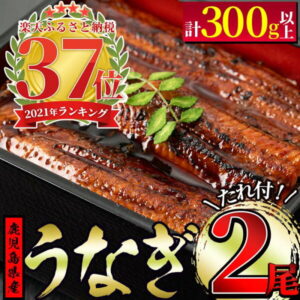 【ふるさと納税】東串良町のうなぎ蒲焼(無頭)(2尾・計約300g・タレ、山椒付)うなぎ生産量日本一の鹿児島県!国産で安心!豊富な地下水で育った鰻の蒲焼き!【アクアおおすみ】【11930】