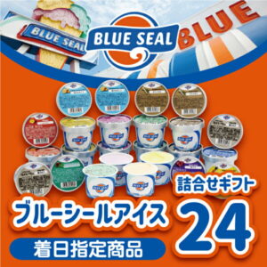 【ふるさと納税】【着日指定必須】ブルーシール アイス 24個入り(12種類) 詰合せ ギフト アイスクリーム blue seal スイーツ デザート 冷凍 かわいい おしゃれ お取り寄せ 内祝い 誕生日 プレゼント沖縄 土産 浦添