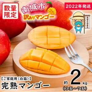 【ふるさと納税】完熟 アップル マンゴー 訳あり 約2kg 3玉~7玉 | 訳アリ 白箱 沖縄 家庭用 果物 フルーツ お取り寄せ グルメ 先行 予約 期間限定 数量限定 沖縄県 沖縄 南城市